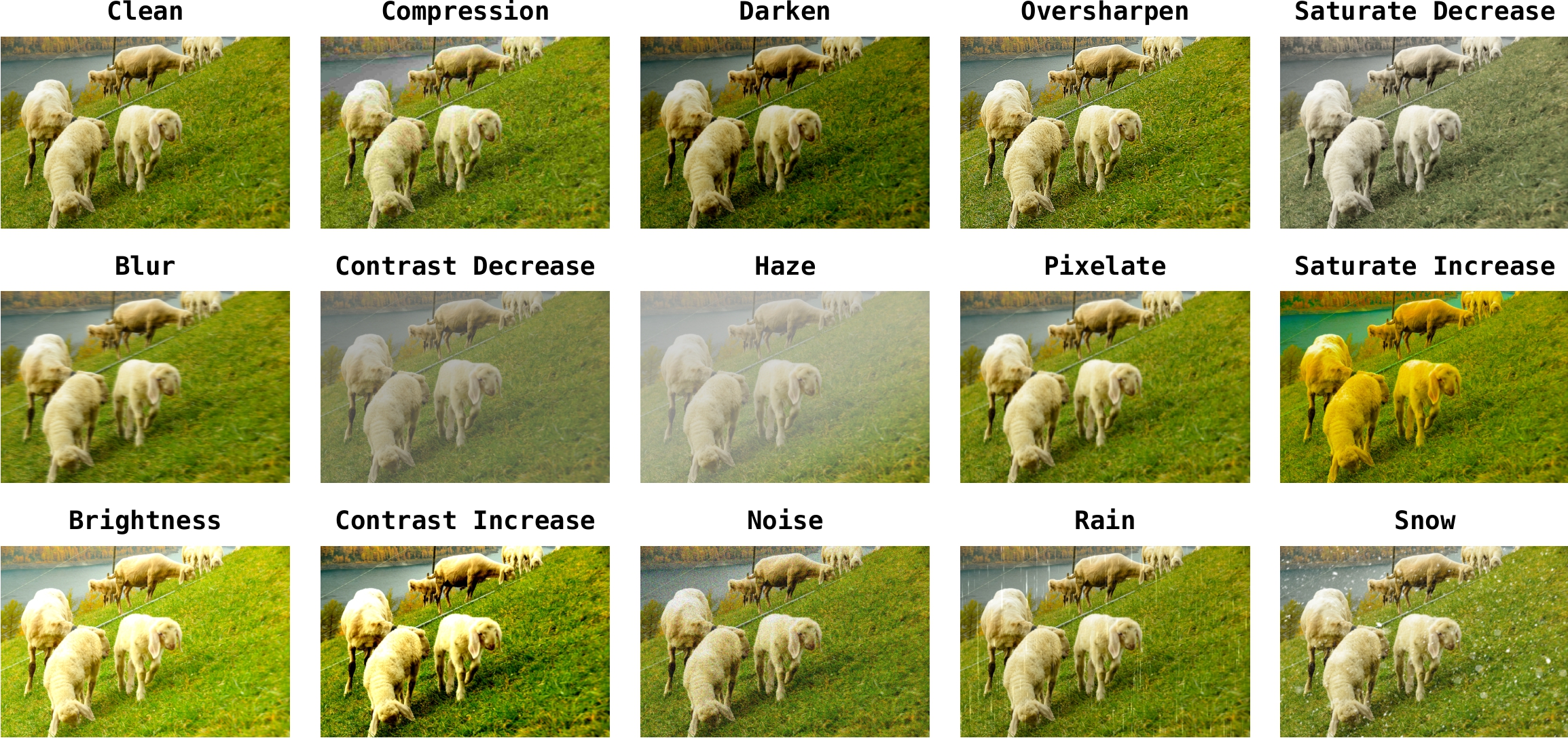 PandaSet distortions